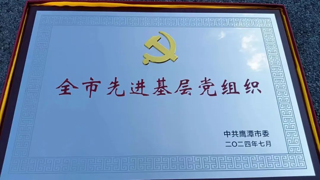 1721631916880217.jpg